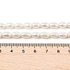 Natural Cultured Freshwater Pearl Beads Strands PEAR-I007-01B-01B-5
