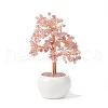 Mother's Day Natural Rose Quartz Chips with Brass Wrapped Wire Money Tree on Ceramic Vase Display Decorations DJEW-B007-02E-1