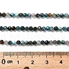 Natural Apatite Beads Strands G-RM2025-36-3mm-5