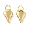 Brass Charms KK-C092-07G-1