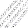 3.28 Feet 304 Stainless Steel Curb Chains X-CHS-F006-04A-P-1