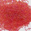 12/0 Round Glass Seed Beads SEED-J011-F12-165B-2