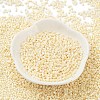 Baking Paint Glass Seed Beads SEED-S042-15B-25-2
