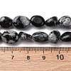 Natural Snowflake Obsidian Beads Strands G-K395-A04-02-5