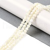 Natural Shell Beads Strands SSHEL-E571-38B-4mm-4