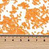 Electroplate Glass Seed Beads SEED-H003-10H-4