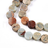 Natural Shoushan Stone Beads Strands G-N346-06A-05-4