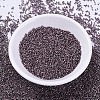 MIYUKI Delica Beads SEED-J020-DB0462-2