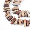 Natural Aqua Terra Jasper Beads Strands G-T140-64-3