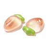 Translucent Resin Fruit Cabochons RESI-G072-03F-2