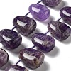 Natural Amethyst Beads Strands G-P528-E06-01-1