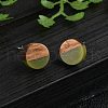 Opaque Resin & Walnut Wood Stud Earrings X-EJEW-N017-008-B08-1