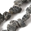 Natural Labradorite Beads Strands G-S386-B04-2