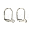 Tarnish Resistant 304 Stainless Steel Leverback Earring Findings STAS-D448-040P-1