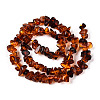Natural Amber Beads Strands G-T138-235D-2
