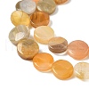 Natural Yellow Botswana Agate Beads Strands G-F790-H04-02-4