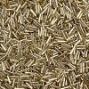 Plated Glass Bugle Beads SEED-S046-01B-22-3