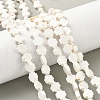 Geark Cross Natural Magnesite Beads Strands G-N0131-04C-1