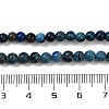 Dyed Natural Regalite/Imperial Jasper/Sea Sediment Jasper Beads Strands G-B124-C04-05-3