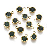 PVD Vacuum Plating 201 Stainless Steel Rhinestone Charms X-STAS-S068-05G-2
