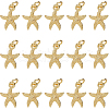 SUNNYCLUE 30Pcs Electroplated Alloy Charms FIND-SC0012-41-1