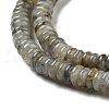 Natural Labradorite Beads Strands G-G084-A03-01-4
