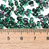 Spray Painted Glass Seed Beads SEED-F005-10A-04-4