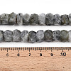 Natural Labradorite Beads Strands G-N347-09A-11-5