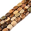 Natural Picture Jasper Beads Strands G-T138-93-4