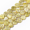 Drawbench Freshwater Shell Beads Strands SHEL-T014-012G-1