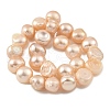 Natural Cultured Freshwater Pearl Beads Strands PEAR-A006-08B-3
