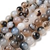 Natural Dendritic Agate Beads Strands G-A248-A07-06-2