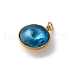 316 Stainless Steel Faceted Glass Pendants STAS-K258-46G-3