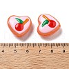 Handmade Lampwork Enamel Beads Heart with Fruit LAMP-V001-06-4