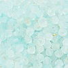 Frosted Glass Beads FGLA-D300-01B-3