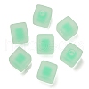 Frosted Acrylic European Beads OACR-G012-14B-1