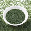 MIYUKI Round Rocailles Beads SEED-G007-RR0350-2