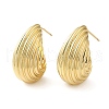 Rack Plating Brass Shell Shape Stud Earrings for Women X-EJEW-Z019-20G-1