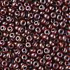 6/0 Czech Opaque Glass Seed Beads SEED-N004-003D-14-4