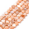 Natural Freshwater Shell Beads Strands SHEL-H002-03C-1