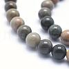 Natural Ocean Agate/Ocean Jasper Beads Strands G-G716-03-10mm-3