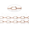 Ion Plating(IP) 304 Stainless Steel Paperclip Chains CHS-D030-01RG-1