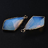 Opalite Charms G-Q998-029G-4