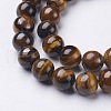 Gemstone Beads Strands GSR10mmC014-2