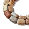 Natural Aqua Terra Jasper Beads Strands G-L624-F03-14x10mm-4