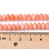 Natural Freshwater Shell Beads Strands SSHEL-C013-07A-4
