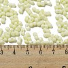 Macaron Color Opaque Frosted Glass Seed Beads X1-SEED-K009-12B-15-4