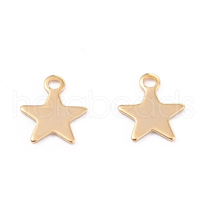 201 Stainless Steel Charms X-STAS-B001-14A-G-1