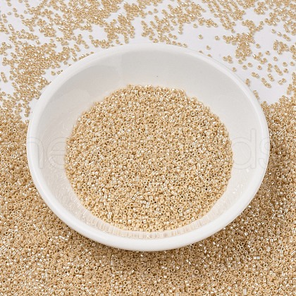MIYUKI Delica Beads SEED-X0054-DB1561-1