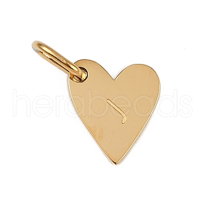 304 Stainless Steel Charms STAS-L291-01G-J-1
